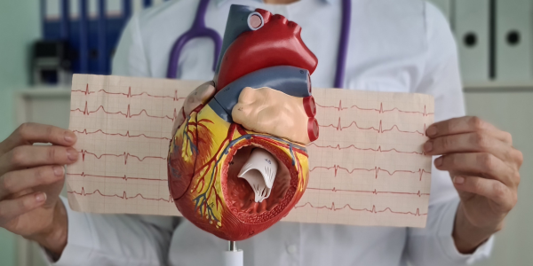 Cardiologista em Salesópolis – cuide da saúde do seu coração
